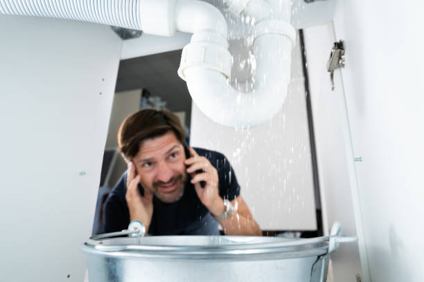 Best Affordable Plumbing Services  in Pipestone, MN